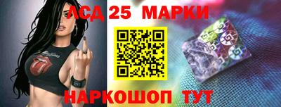 гидра Бердск