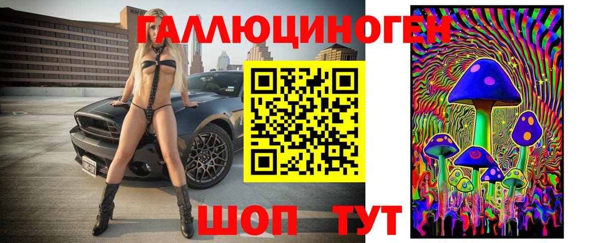 Губкин  Псилоцибиновые грибы прущие грибы  Вход с VPN 